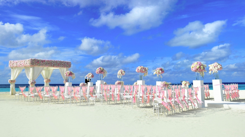 fleuriste-TOURVES-min_atoll-1854069