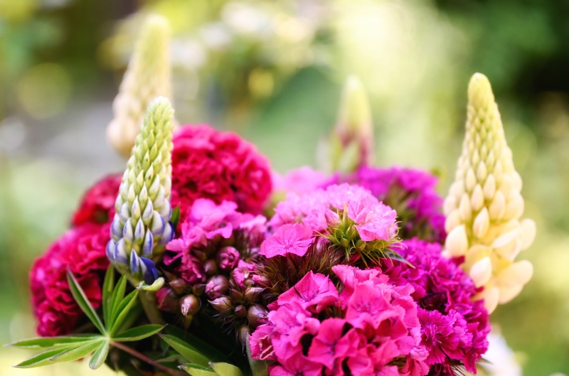 fleuriste-TOURVES-min_flowers-5369794
